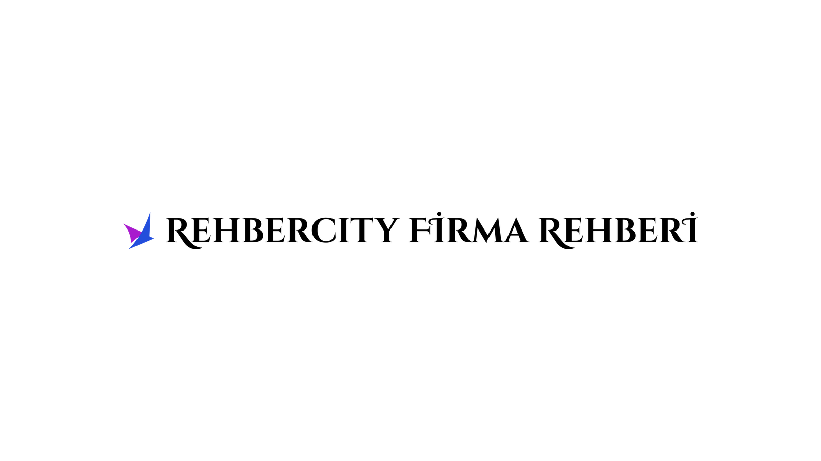 Rehbercity Firma Rehberi